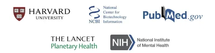 Authority Reference 2